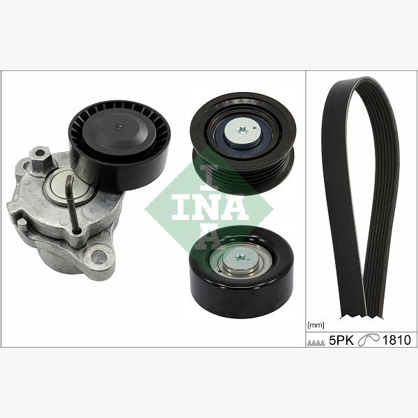 INA 529029910 V-Ribbed Belt Set