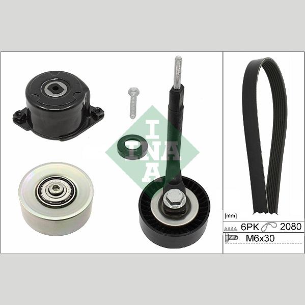 INA 529031410 V-Ribbed Belt Set