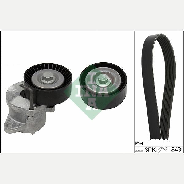 INA 529035010 V-Ribbed Belt Set