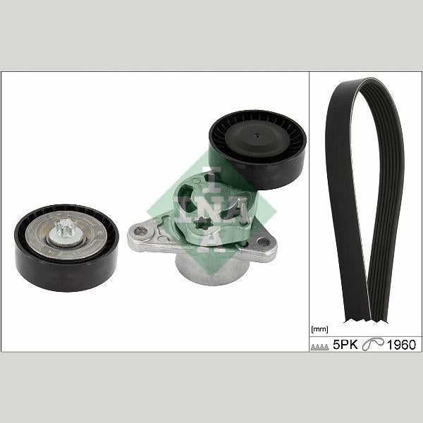 INA 529048710 V-Ribbed Belt Set
