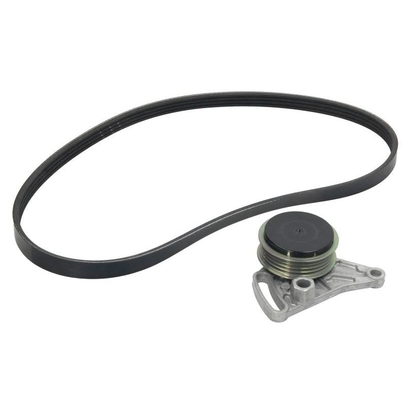 INA 529009910 V-Ribbed Belt Set