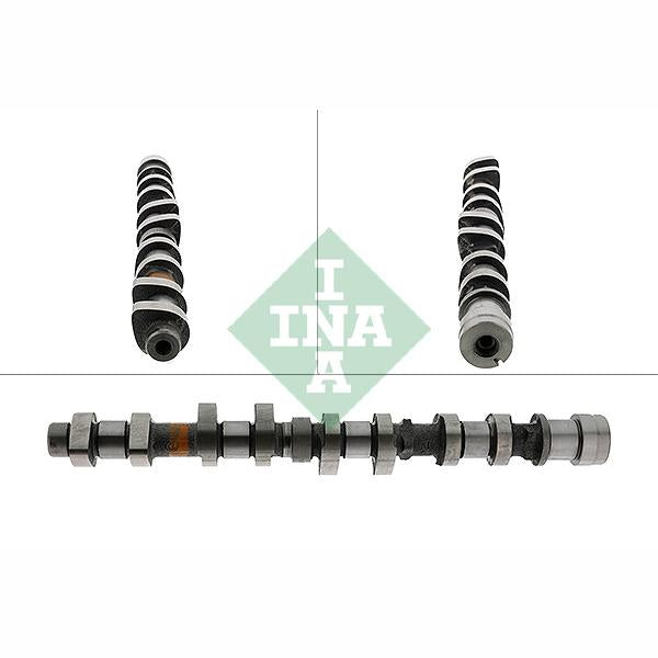 INA 428011310 Camshaft