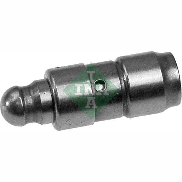 INA 420009810 Tappet