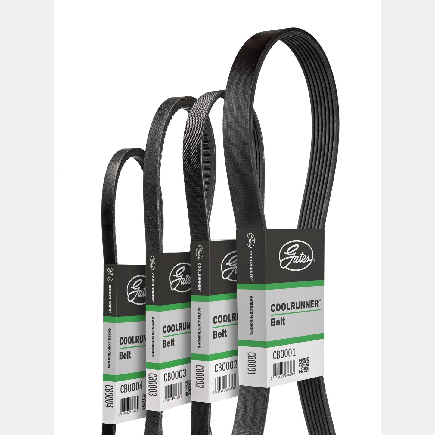 GATES GATCB0018 V-Belt