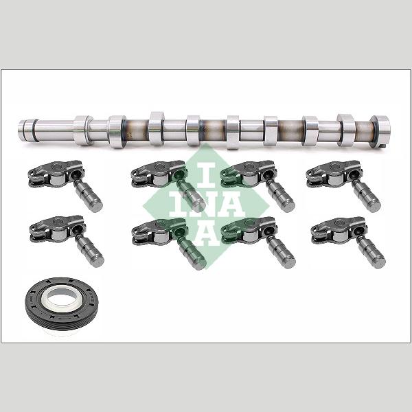 INA 428005630 Camshaft Kit