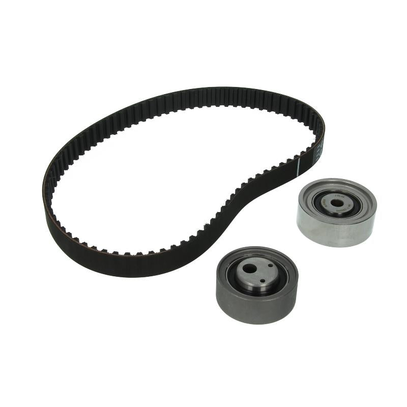 INA 530005010 Timing Belt Set