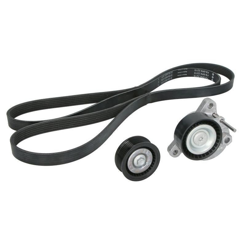 INA 529049910 V-Ribbed Belt Set
