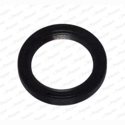 PAYEN NA5306 Crankshaft Shaft Seal