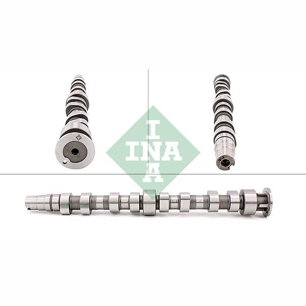 INA 428017210 Camshaft