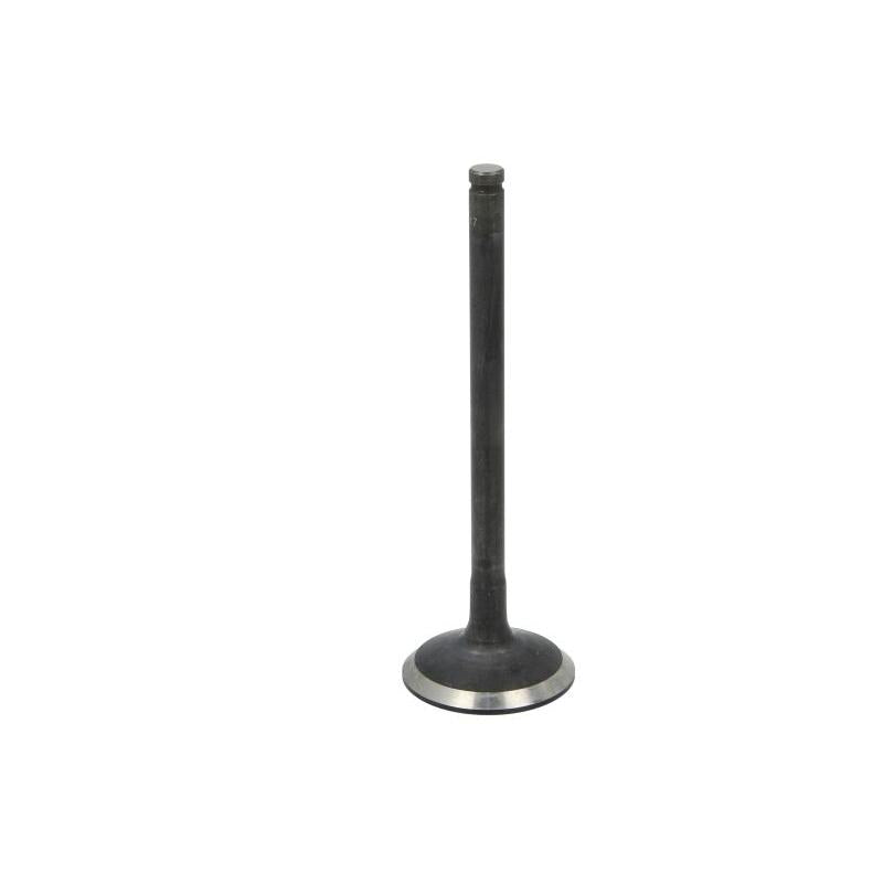 DNJ EV1130 Exhaust Valve