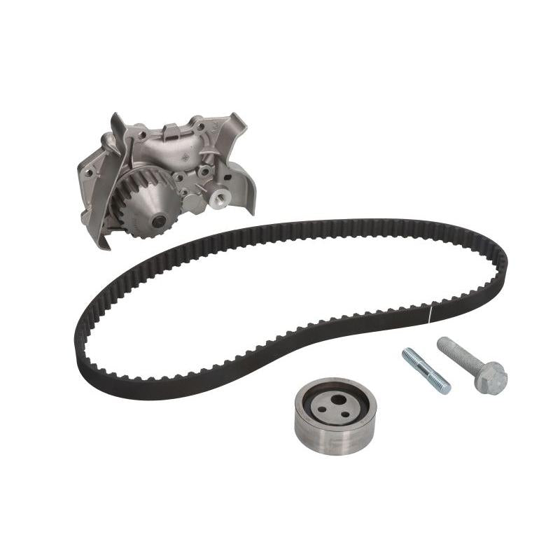 INA 530019130 Water Pump & Timing Belt Kit