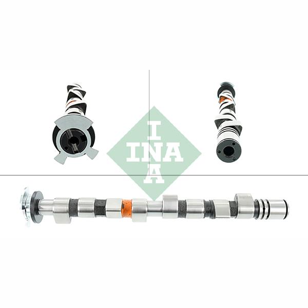 INA 428016710 Camshaft
