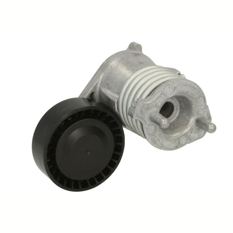DAYCO DAYAPV3019 V-Ribbed Belt Tensioner Lever