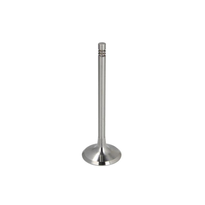 TRW 22306 Intake Valve