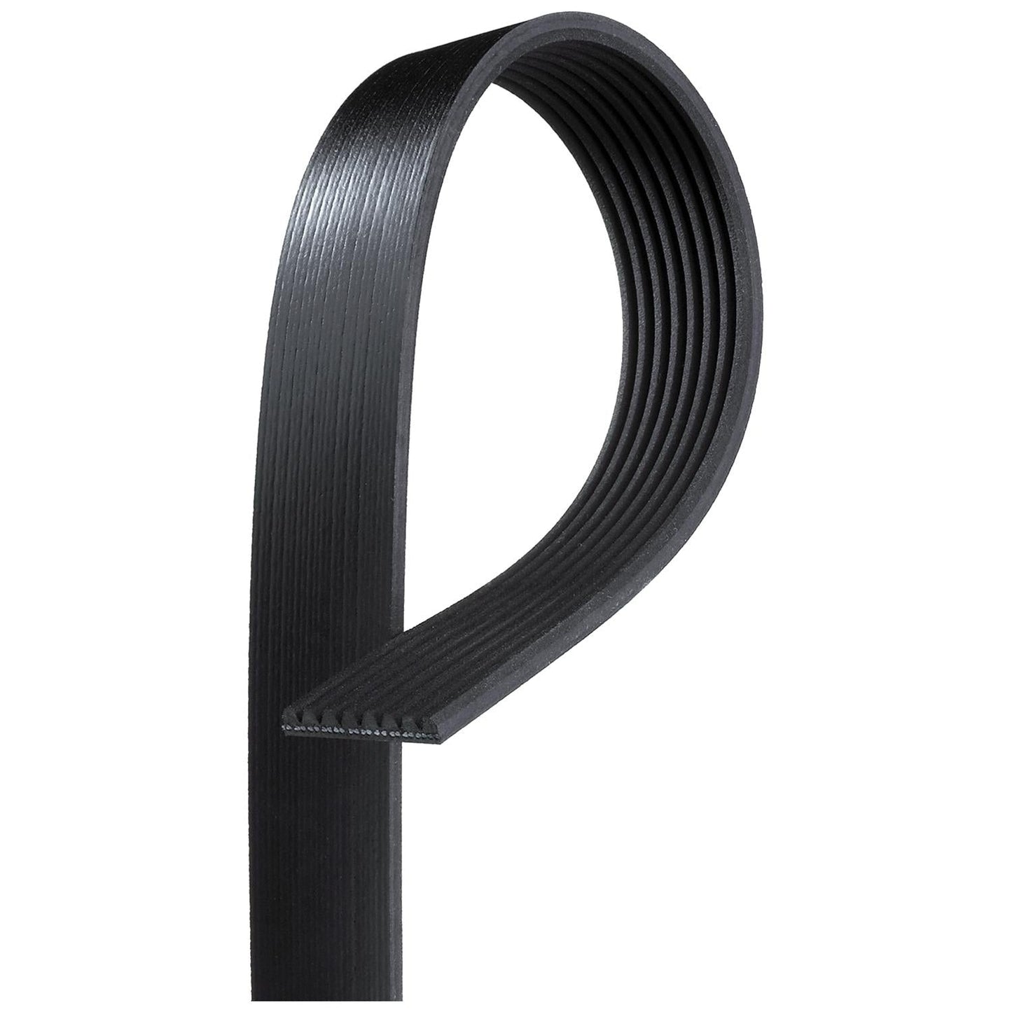 GATES GAT8PK1645HD V-Ribbed Belt