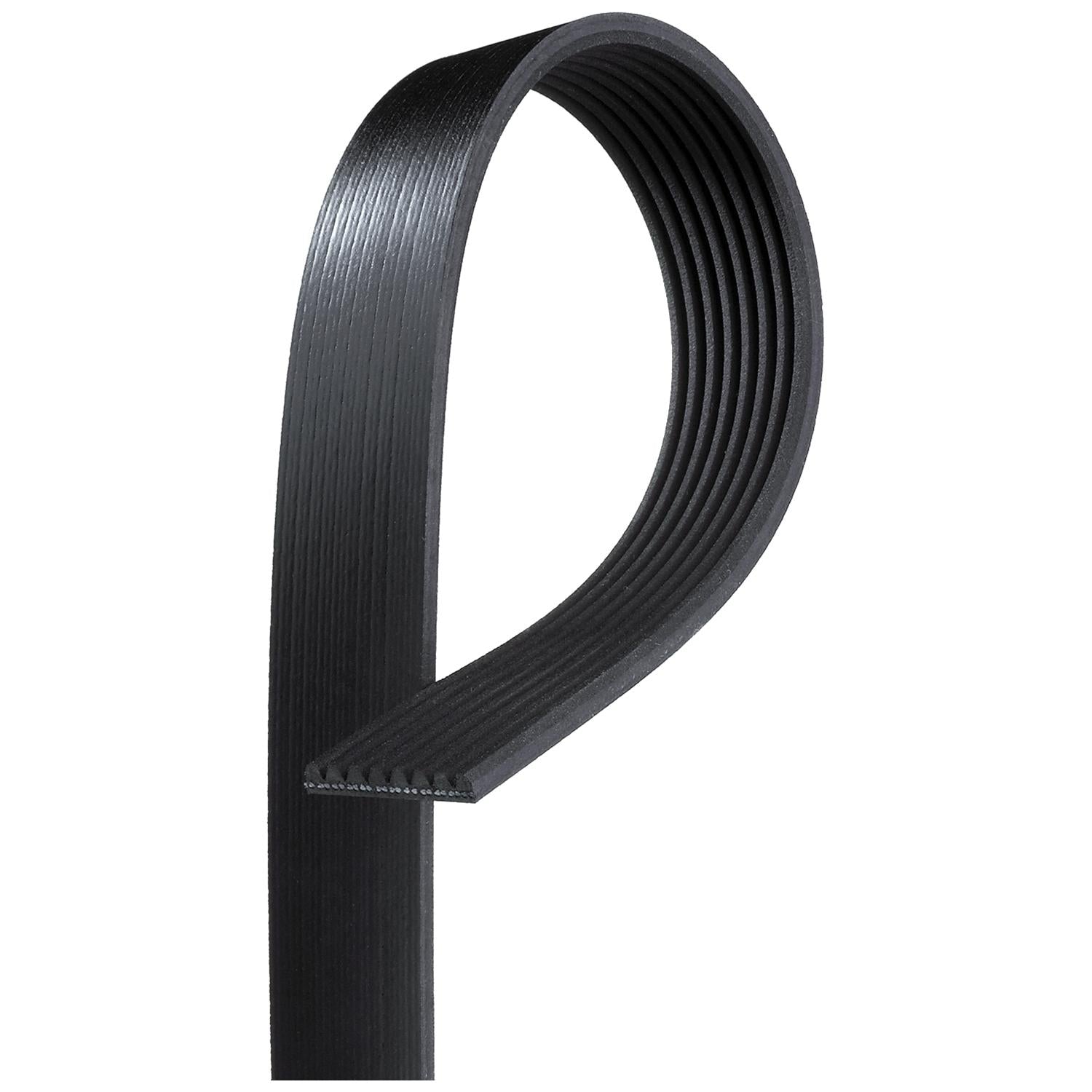 GATES GAT8PK1645HD V-Ribbed Belt