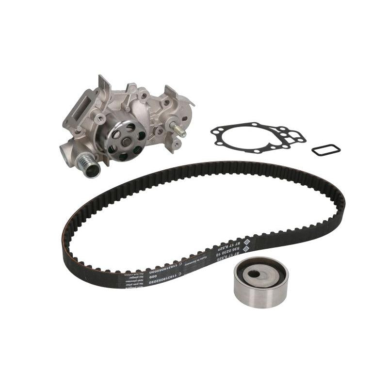 INA 530018230 Water Pump & Timing Belt Kit