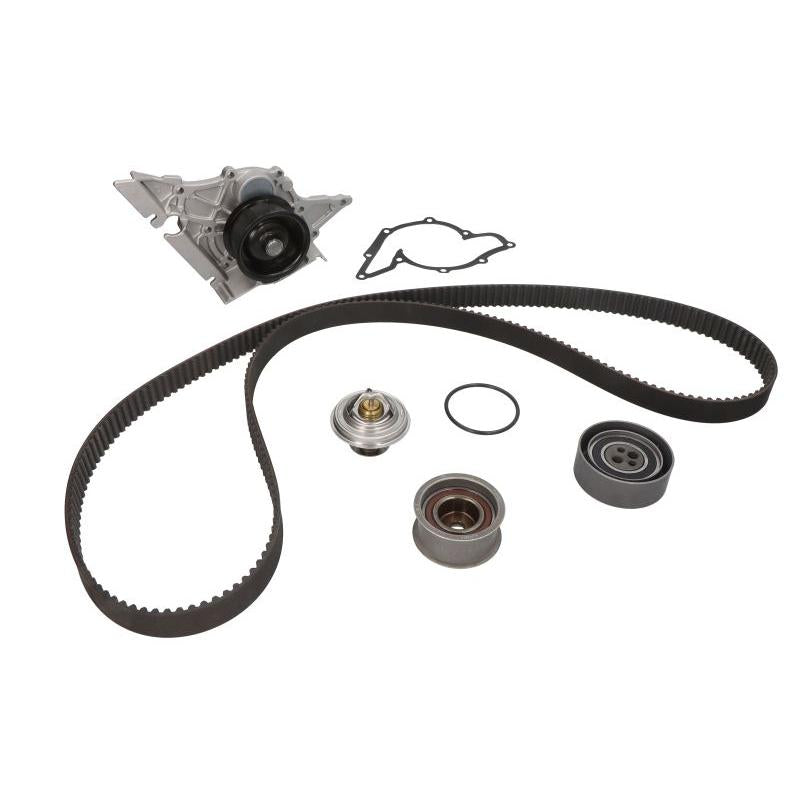 INA 530016130 Water Pump & Timing Belt Kit