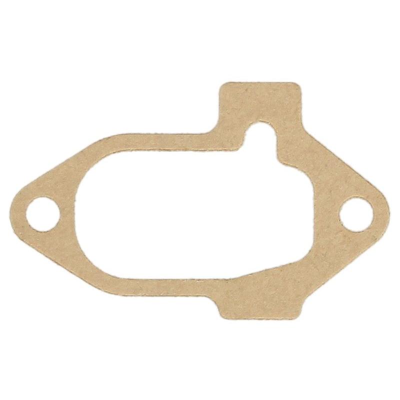 ATHENA 101001 Carburettor Diaphragm