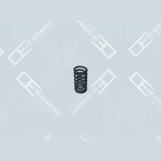 OE GERMANY 010523900000 Valve Spring