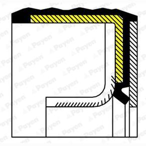 PAYEN NA5230 Crankshaft Shaft Seal