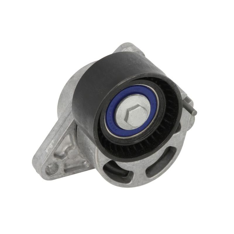 INA 534018110 V-Ribbed Belt Tensioner Lever
