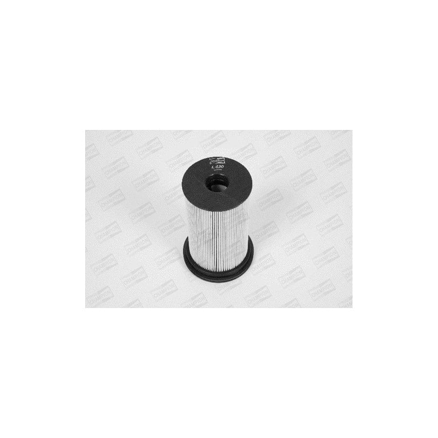 Champion L430/606 Fuel Filter for BMW 3 Series