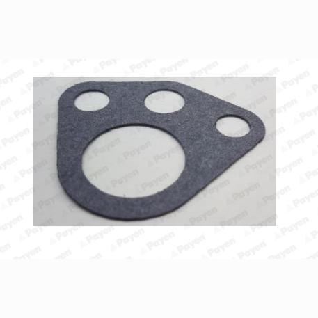 PAYEN LR922 Oil Pump Gasket Drive