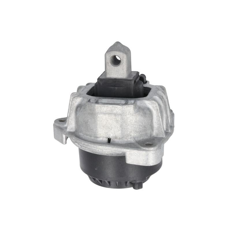 REINHOCH RH113116 Engine Mount