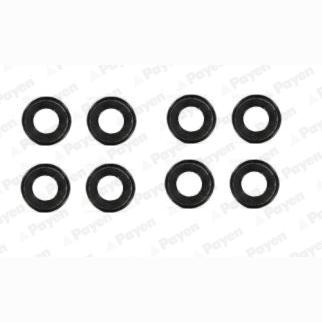 PAYEN HR639 Valve Stem Seal Set