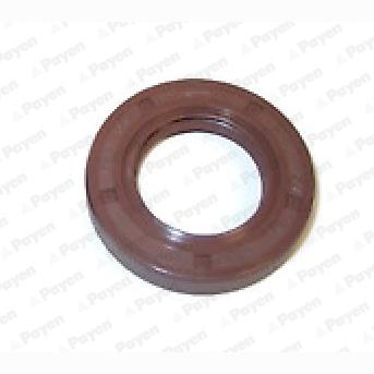 PAYEN NA5318 Camshaft Shaft Seal