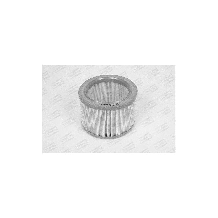 Champion W233/606 Air Filter