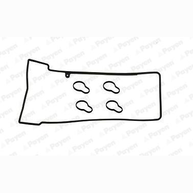 PAYEN HM5170 Cylinder Head Cover Gasket Set