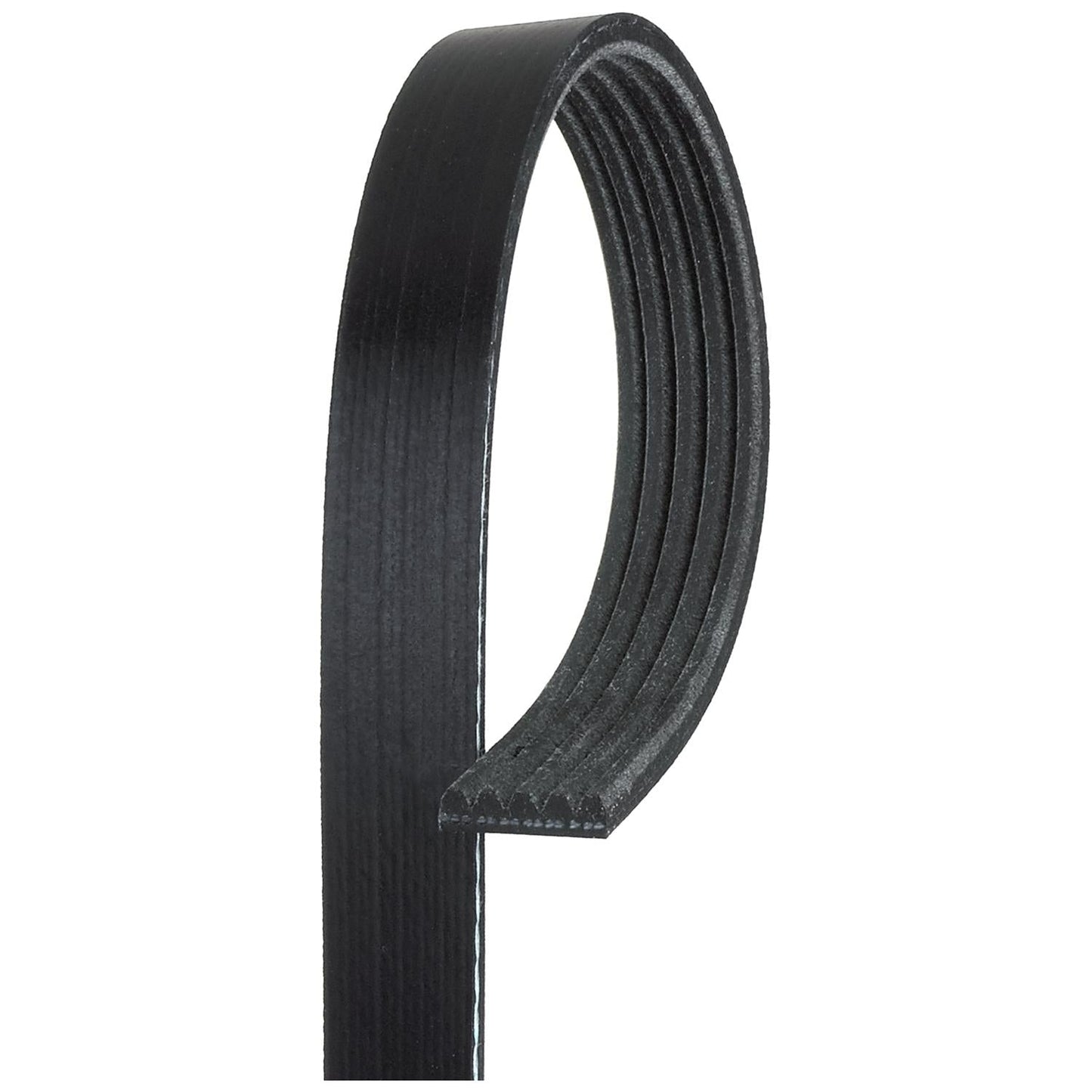 GATES GAT5PK1138 V-Ribbed Belt