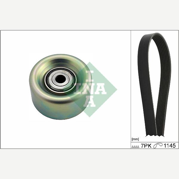 INA 529027210 V-Ribbed Belt Set