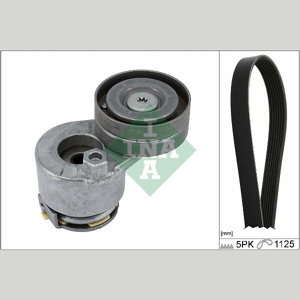 INA 529042710 V-Ribbed Belt Set
