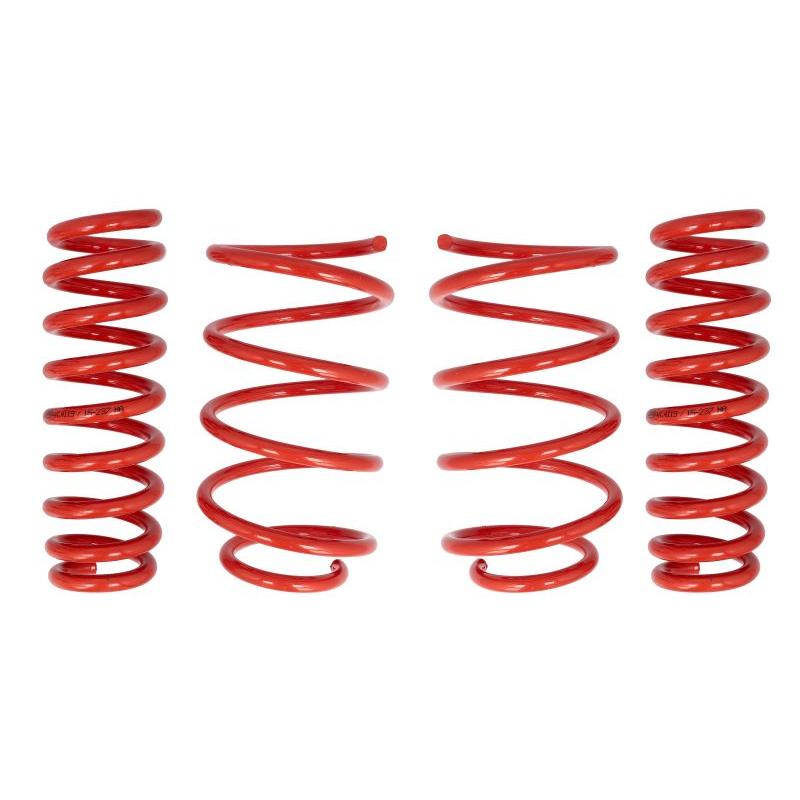 COBRA 01.4119.C Suspension Springs Set