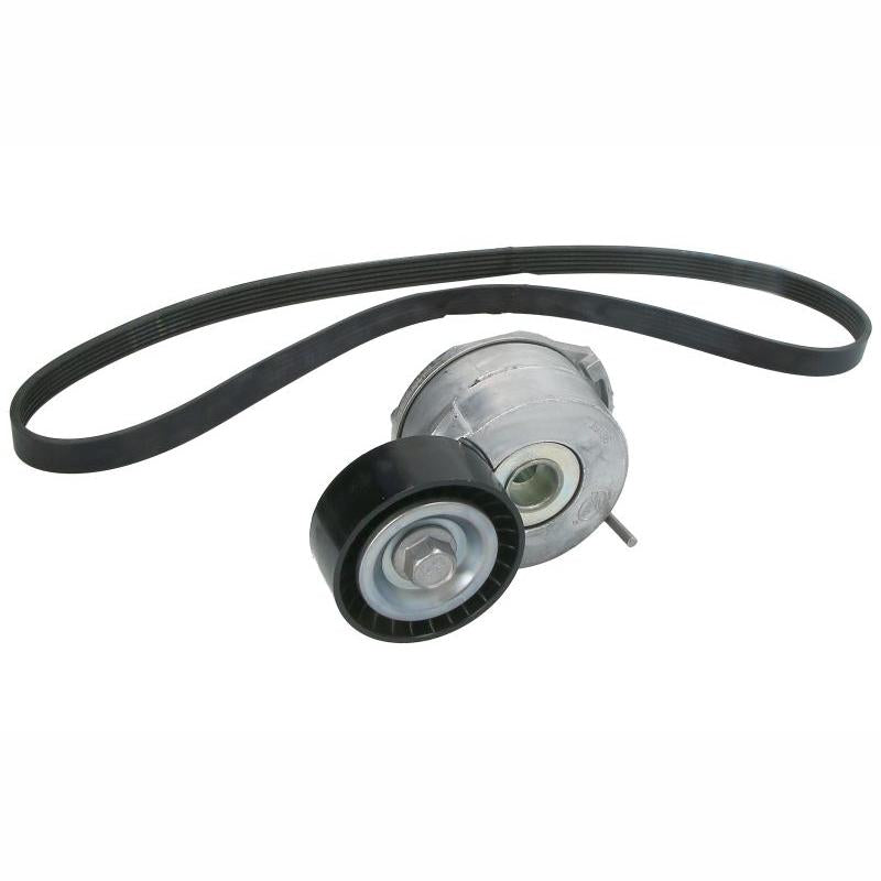 INA 529029110 V-Ribbed Belt Set