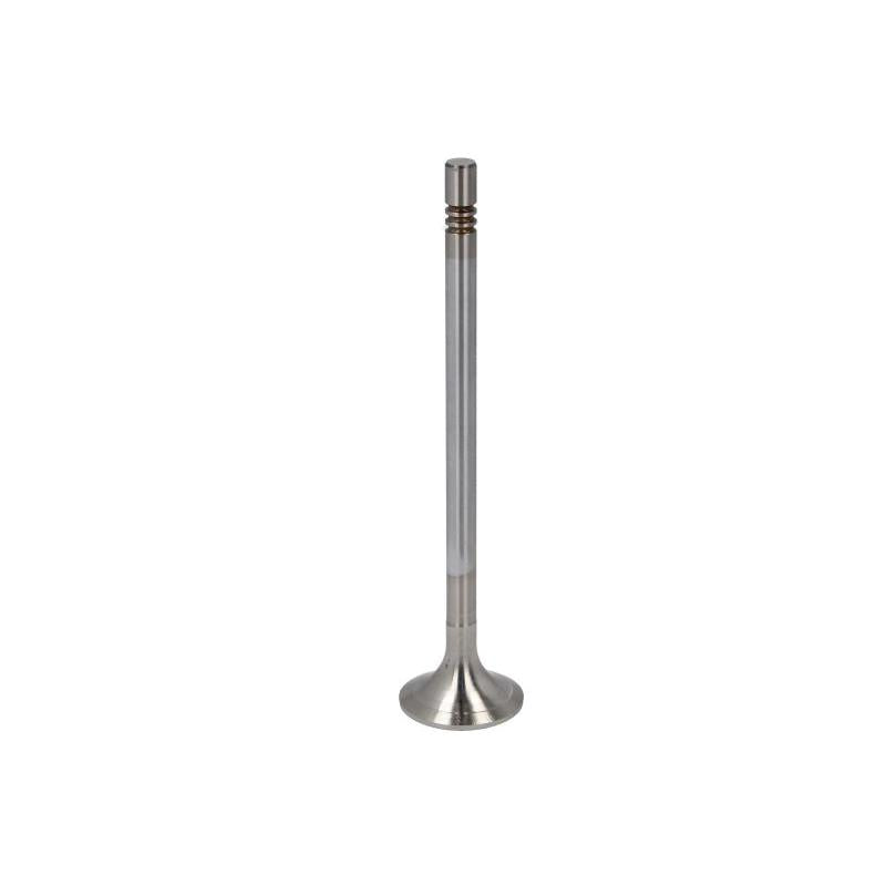 TRW 22313 Exhaust Valve