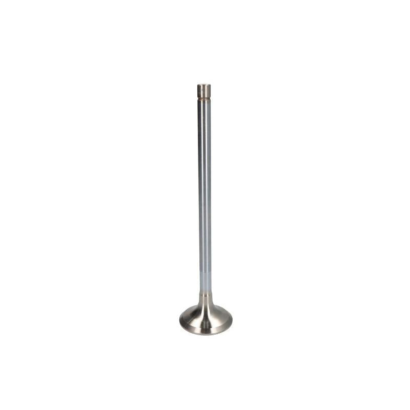 TRW 171112 Exhaust Valve