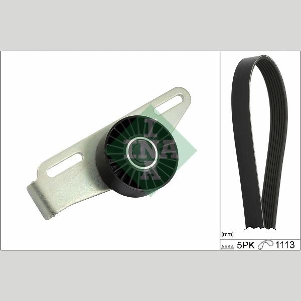 INA 529044110 V-Ribbed Belt Set