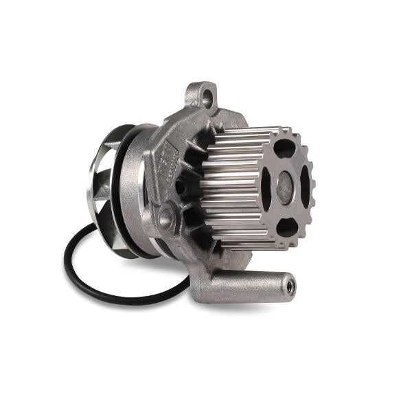 HEPU P655 Water Pump