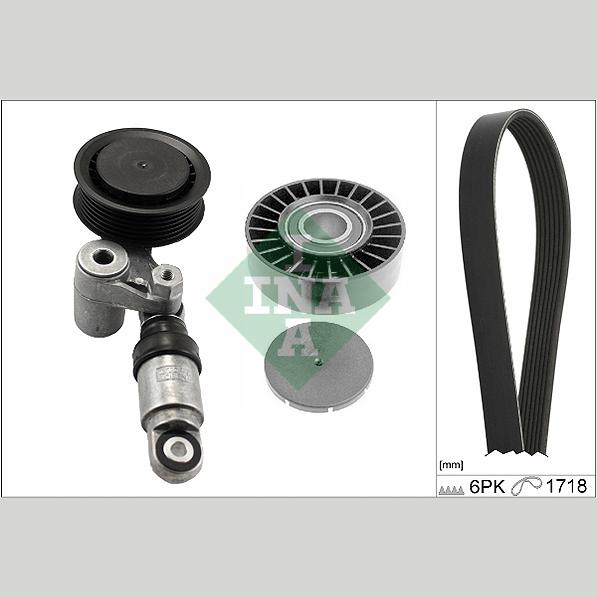 INA 529024410 V-Ribbed Belt Set