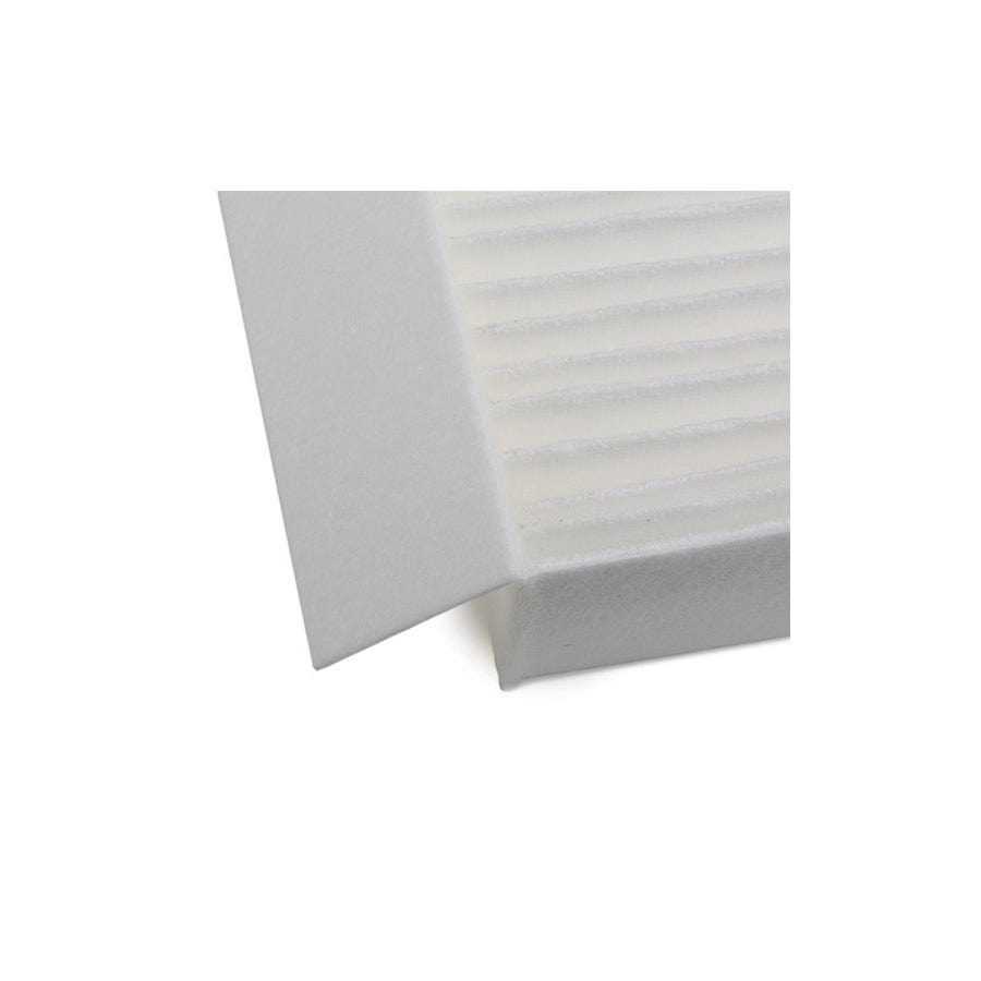 Champion Ccf0024 Pollen Filter