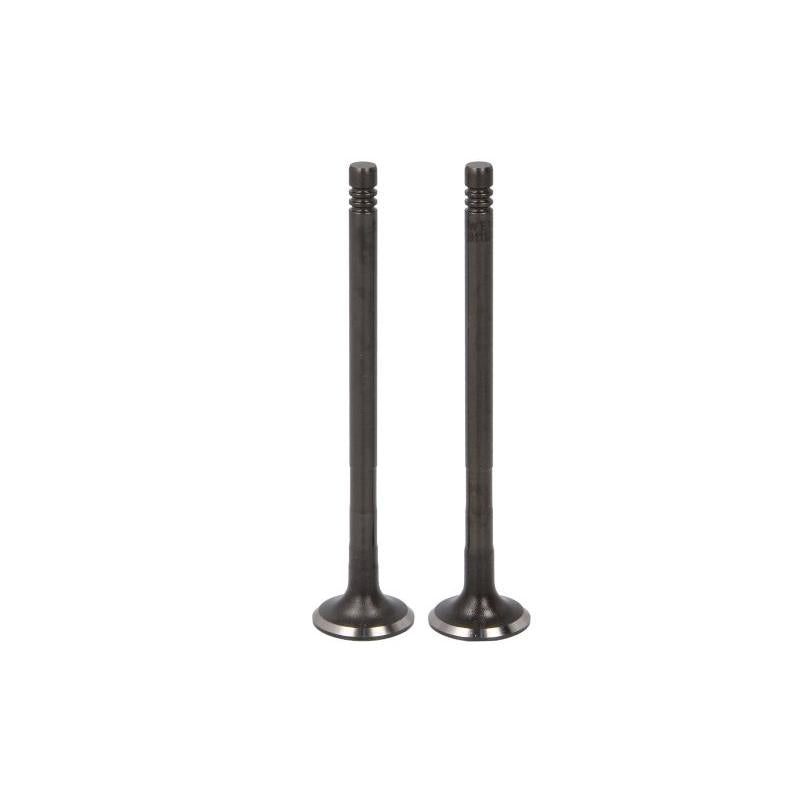 TRW 181113 Exhaust Valve