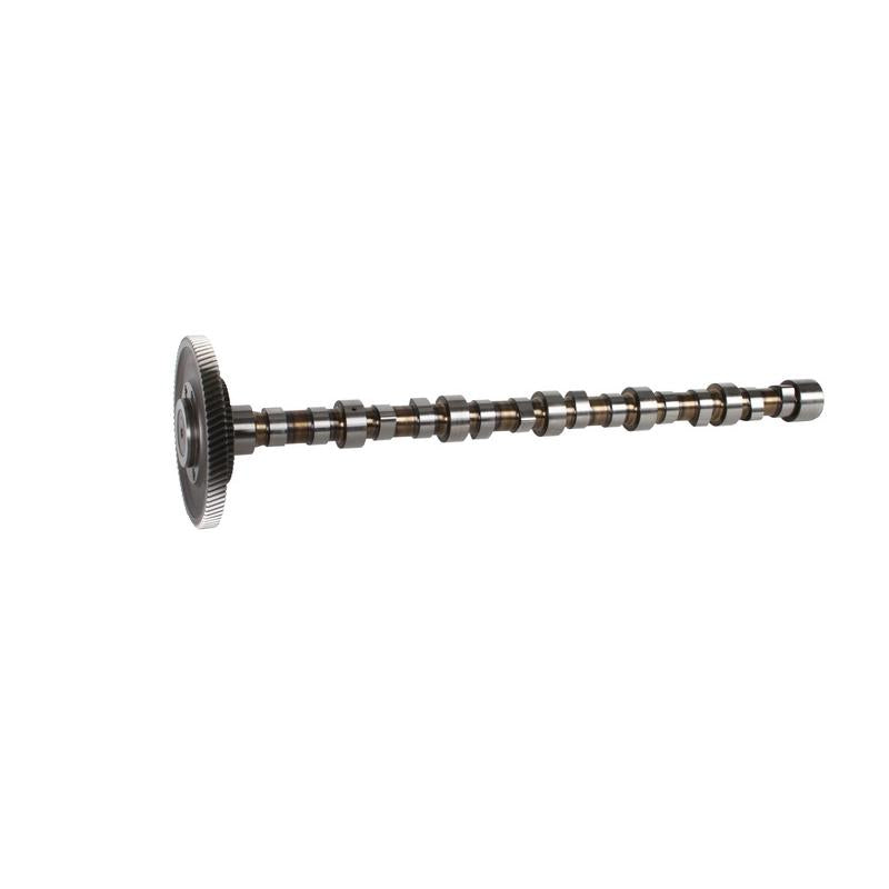 BF 20100228761 Camshaft