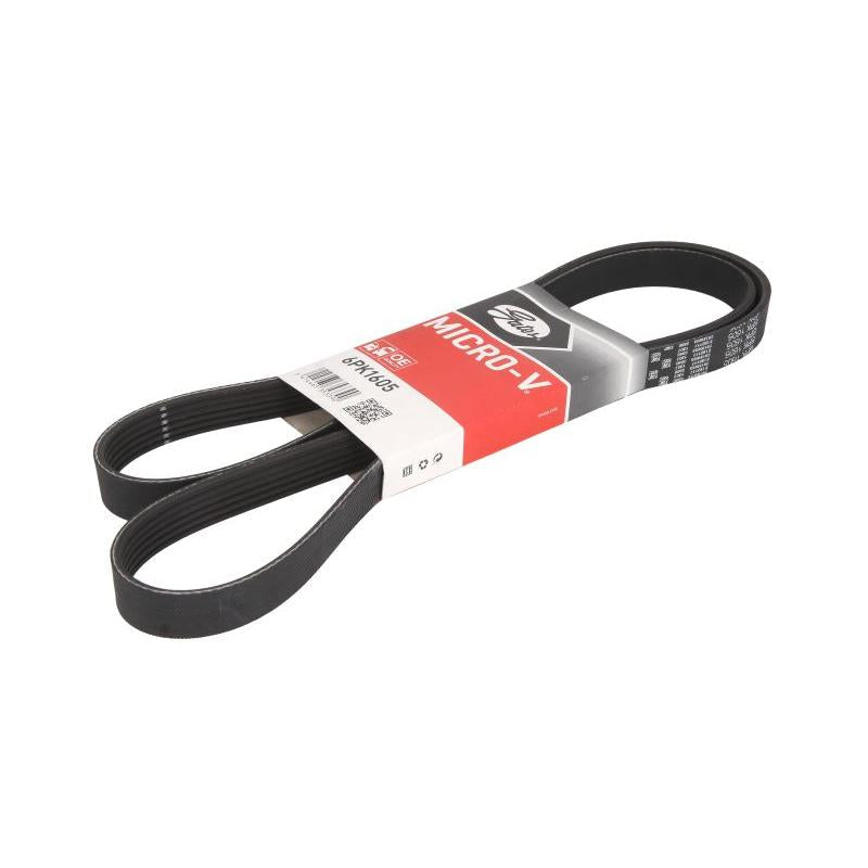 GATES GAT6PK1605 V-Ribbed Belt