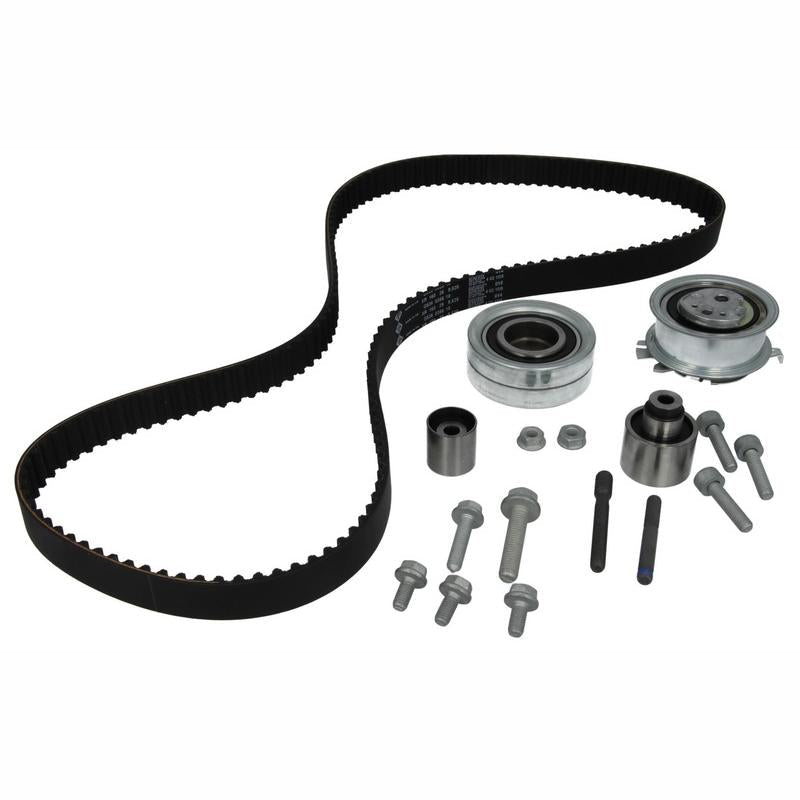 INA 530055010 Timing Belt Set