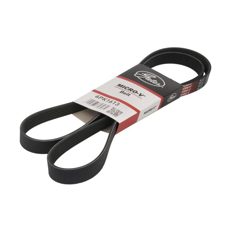 GATES GAT6PK1613 V-Ribbed Belt
