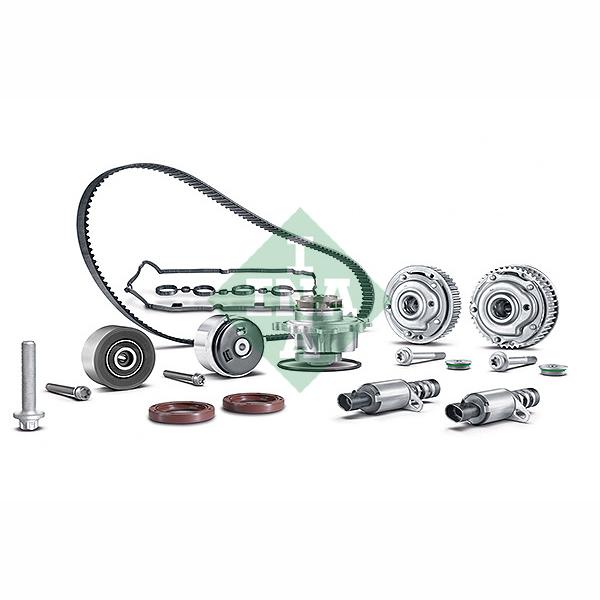INA 560000111 Camshaft Adjuster Kit